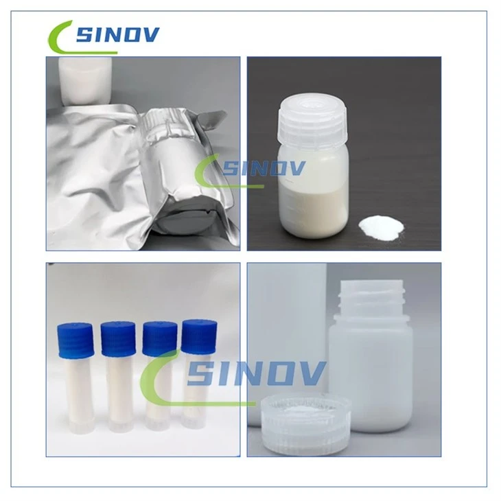 Gamma Cyclodextrin suppliers