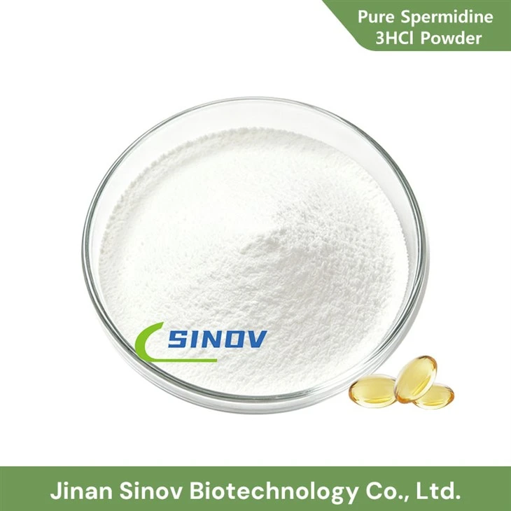 Púdar Pure Spermidine 3HCl